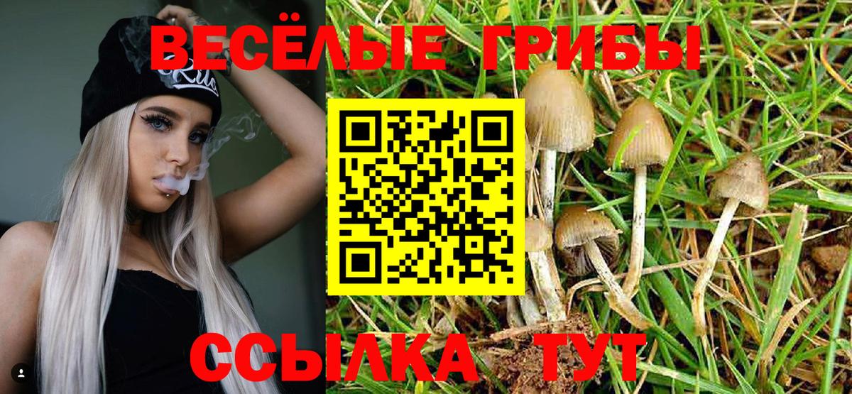 Заволжье  Галлюциногенные грибы Psilocybine cubensis  Псилоцибиновые грибы ЛСД  Вход с VPN 