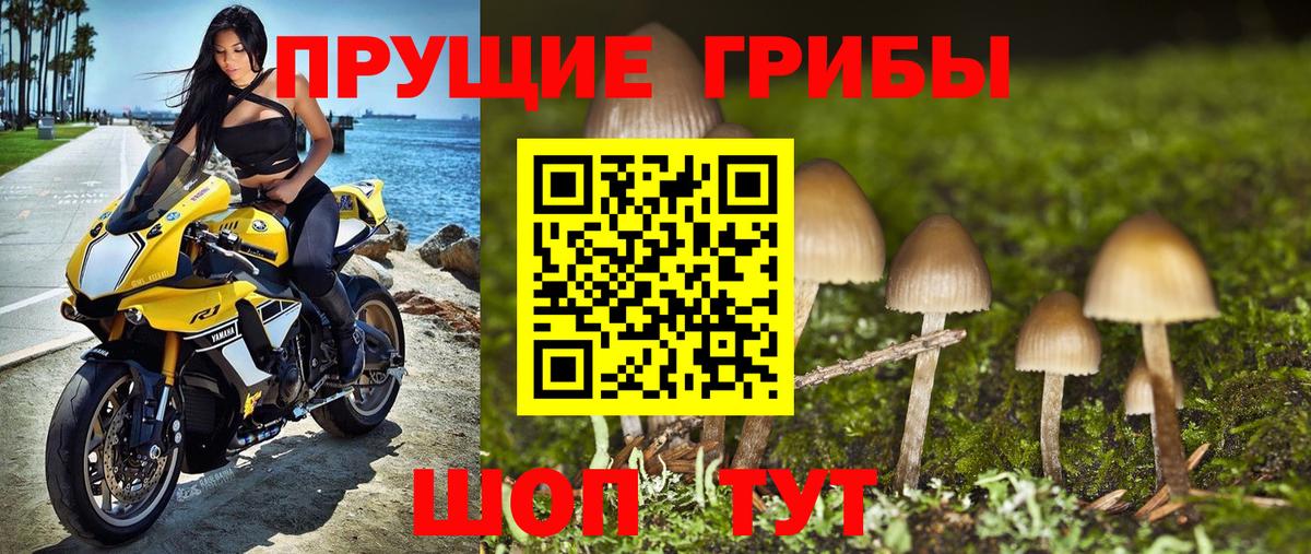 Галлюциногенные грибы мухоморы Заволжье